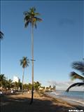 Ocean Park - SAN JUAN